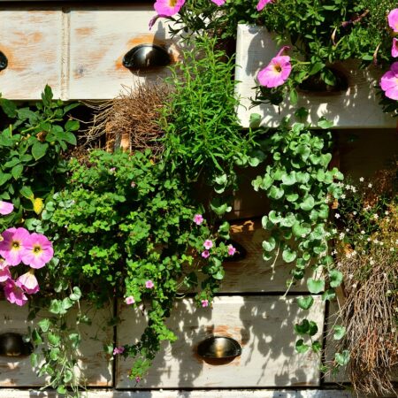 6 nápadov, ako kreatívne vytvoriť záhradu zeleniny