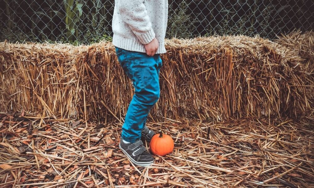 5 výhod pestovania zeleniny na balíkoch slamy