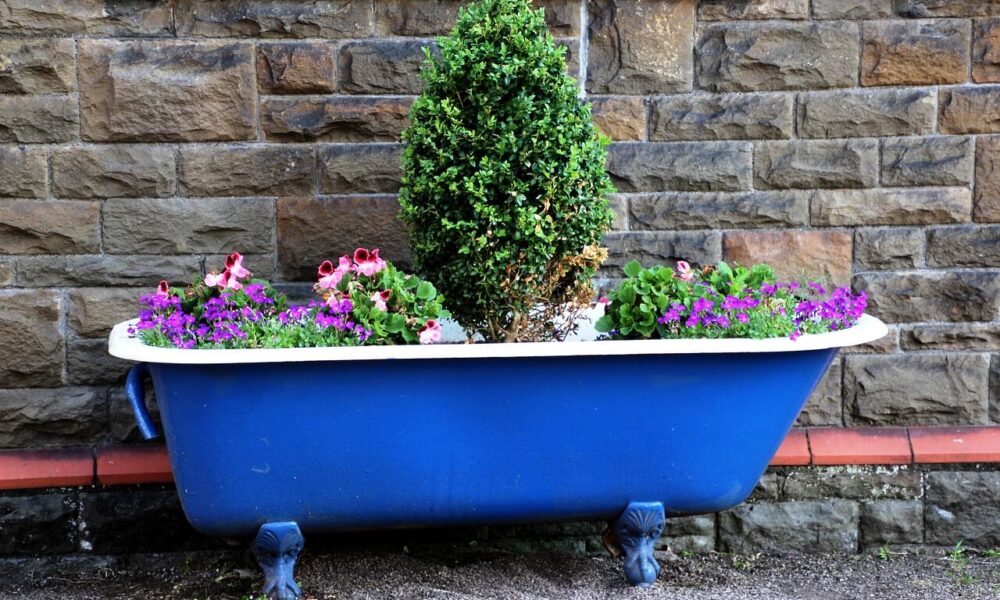 ako kreatívne vytvoriť záhradu zeleniny