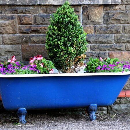 ako kreatívne vytvoriť záhradu zeleniny