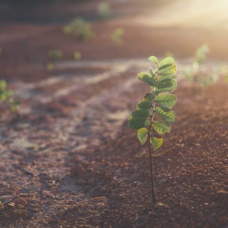 Aké 4 druhy pôdy poznáme, časť I.