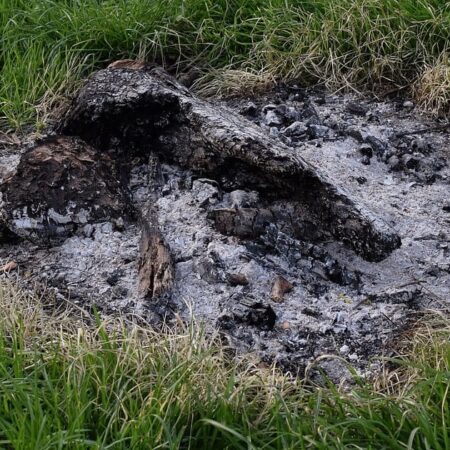 ako využiť popol z dreva