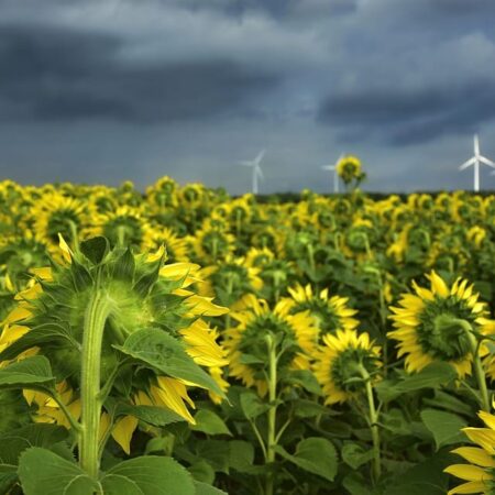 nepredvídateľné leto