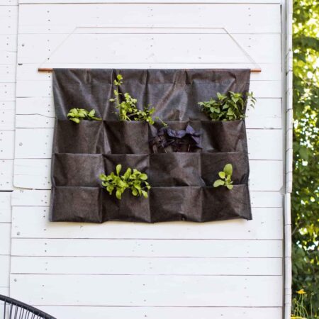 vertikálna záhrada