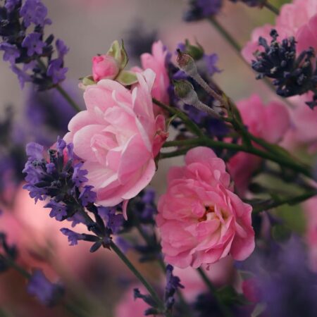 prírodný dezodorant