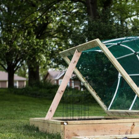 premena trávnika na vyvýšenú zeleninovú záhradu