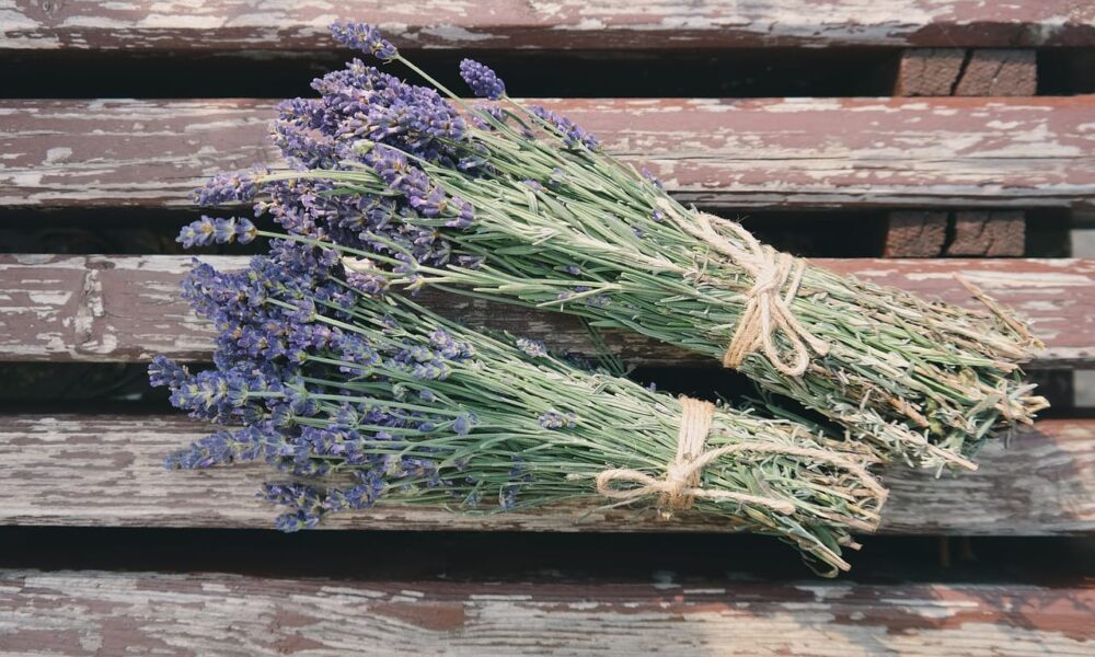 ako sušiť levanduľu