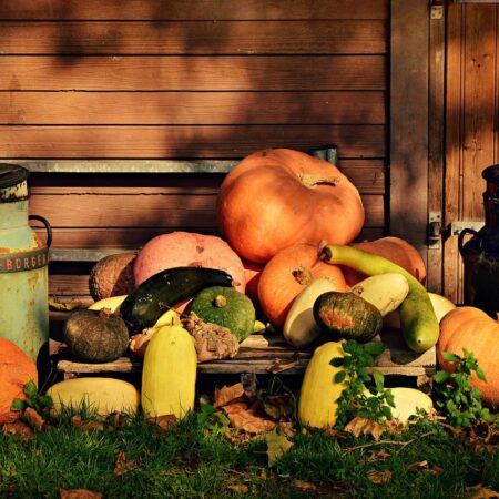 ako udržať tekvicu sviežu