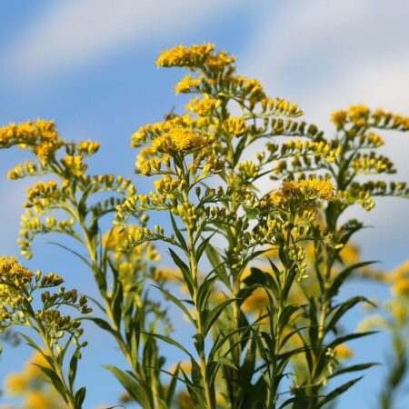 7 bylinkových čajov