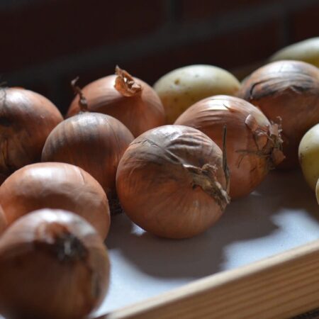 pestovateľské triky, ktoré ocení každý záhradkár