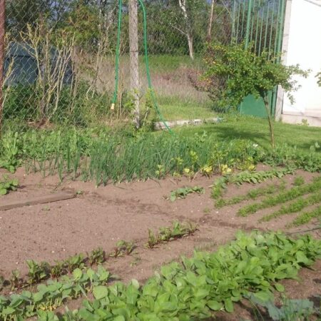 13 najčastejších chýb