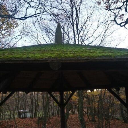 ako odstrániť mach