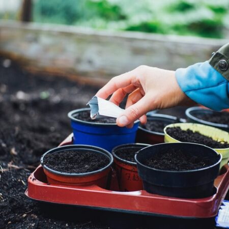záhrada pre chorých