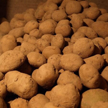 7 efektívnych metód, ako znížiť škodce