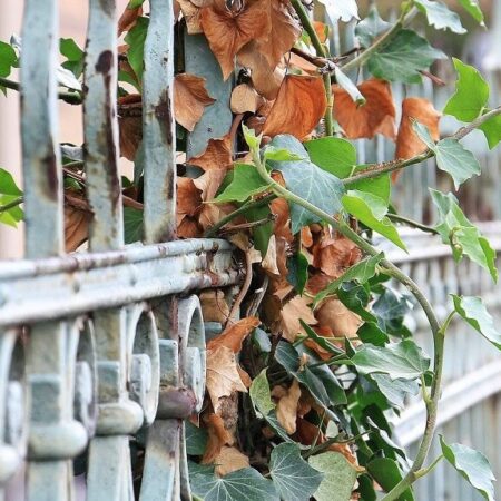 ako natrieť zhrdzavený kov