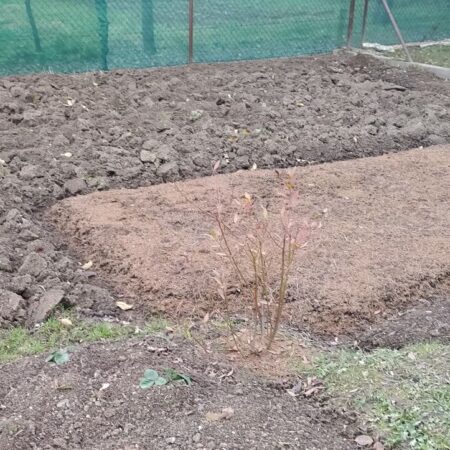 začiatočnícke chyby