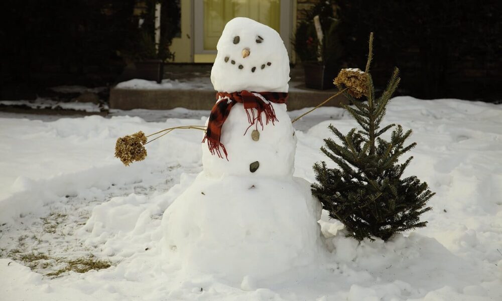 akého snehuliaka postaviť na vašej záhrade