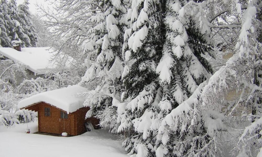 čo sa robí v januári na záhrade