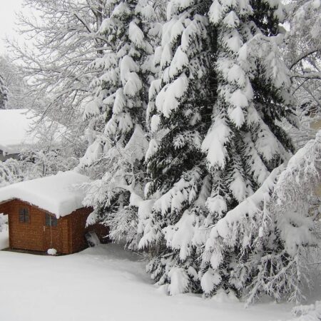čo sa robí v januári na záhrade