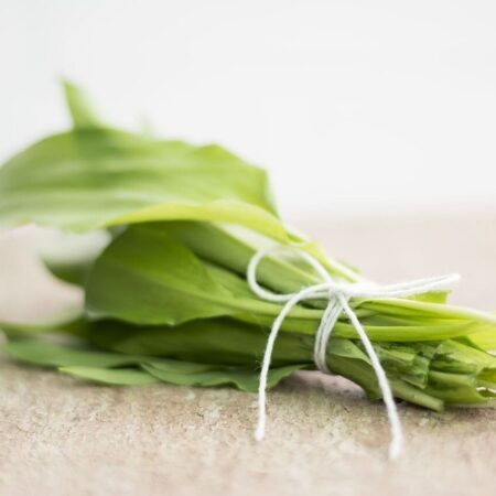 ako pripraviť olej z medvedieho cesnkau