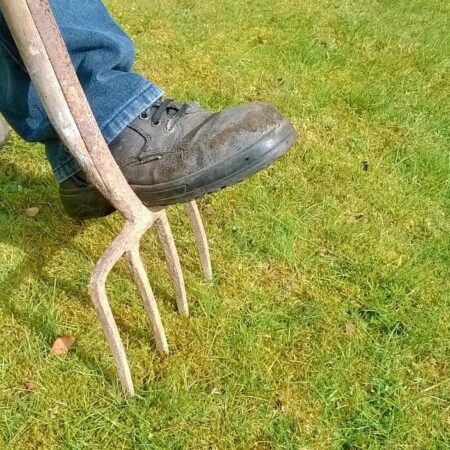 6 krokov, ktoré spraviť pred založením trávnika