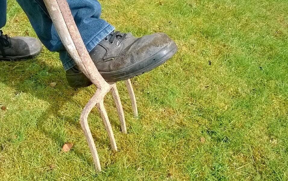 6 krokov, ktoré spraviť pred založením trávnika