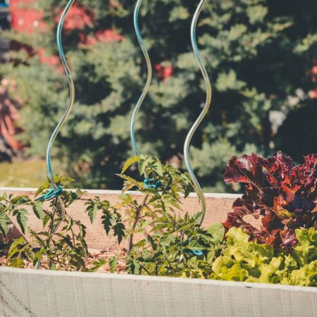 Ako sa starať o zvýšené záhony