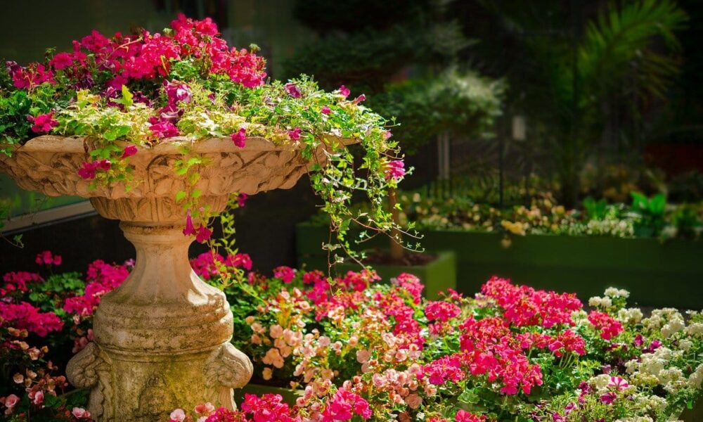 Kvety do vašej záhrady, ktoré dlhodobo kvitnú