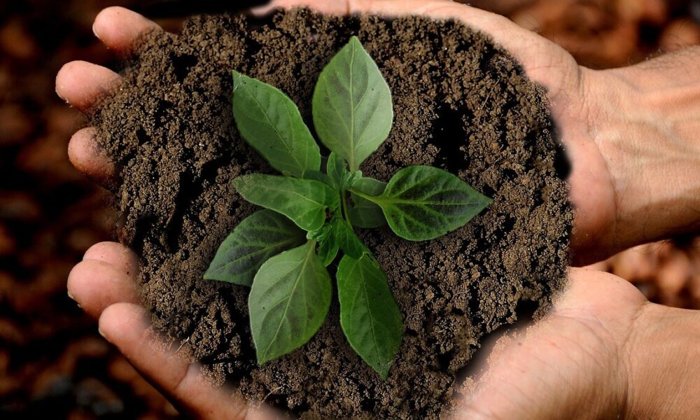 Ako zmeniť a skvalitniť vašu úrodu