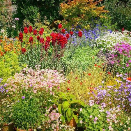 Ako urobiť záhradu farebnejšou? Tu je 5 spôsobov