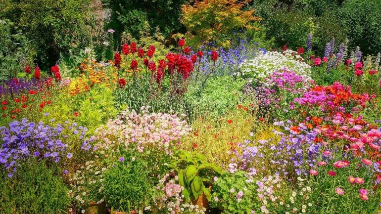 Ako urobiť záhradu farebnejšou? Tu je 5 spôsobov