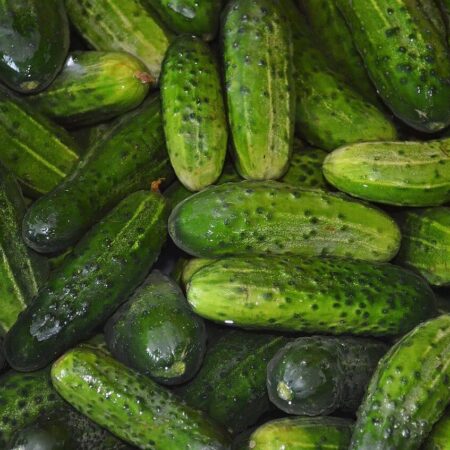 Najčastejšie chyby pri príprave sterilizovaných uhoriek