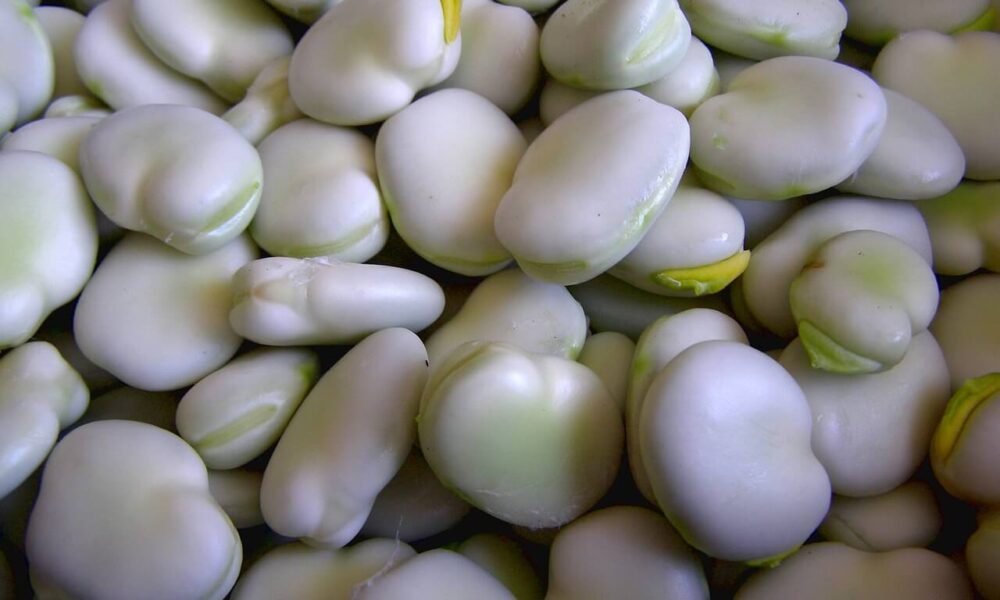 Zabudnuté strukoviny našich starých mám