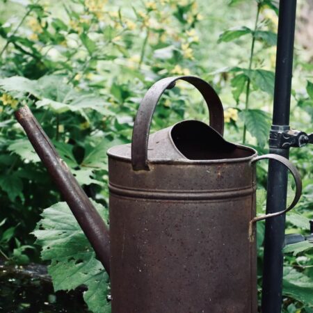 Moč ako hnojivo? 5 dôvodov, prečo to stojí za to vyskúšať