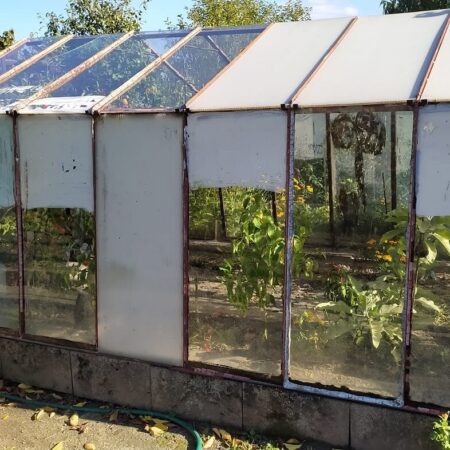 6 spôsobov, ako predĺžiť záhradkársku sezónu