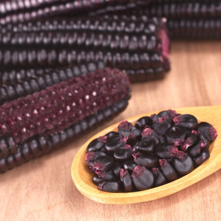 Fialová kukurica vo vašej záhrade? Toto treba vedieť