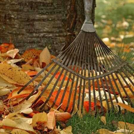 4 spôsoby, ako využiť jesenné lístie