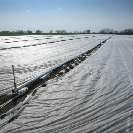 Ako poraziť choroby, škodcov a burinu bez chemikálií?