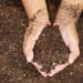 Kyslá pôda: Ako upraviť pH vašej zeme?