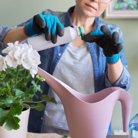 Hnojenie izbových rastlín: Kedy a ako nato?