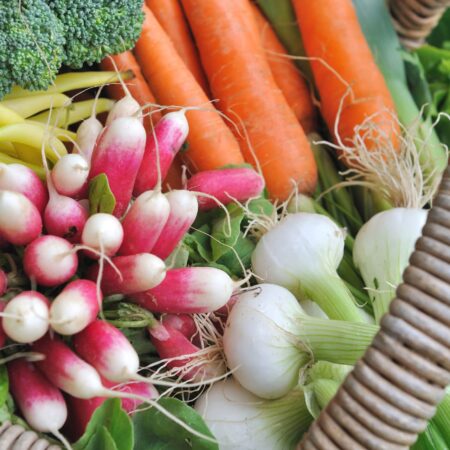 6 druhov zeleniny ideálnych pre začiatočníkov