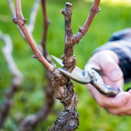 4 tipy, ktoré vám uľahčia prerezávanie