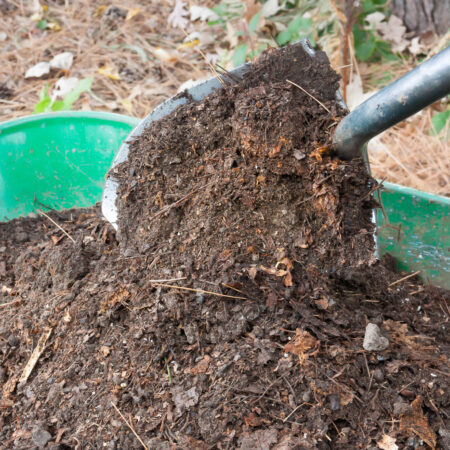 Ideálny kompost: Takto ho treba ošetrovať.