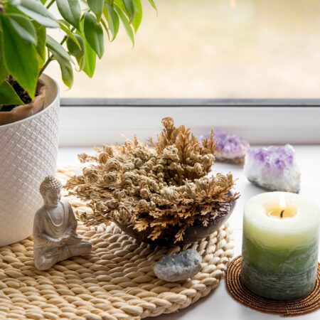 Pestovanie tejto rastliny prináša šťastie, máte ju doma?