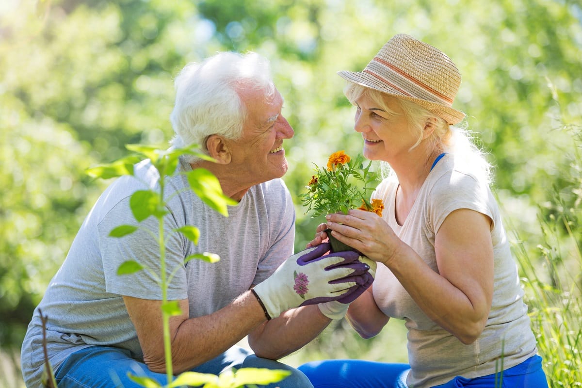Záhradka a Alzheimerova choroba: Vedeli ste toto?