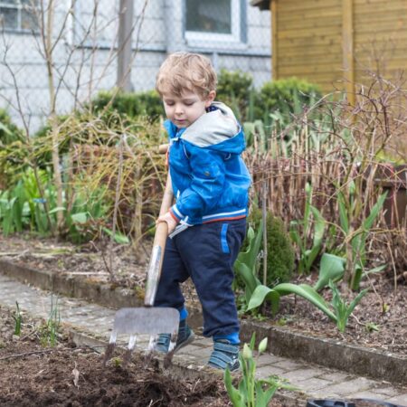 Najzaujímavejšie rastliny na pestovanie s deťmi
