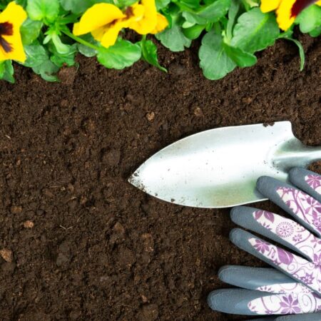 Ako schudnúť? Takto spáli vaše kalórie záhrada