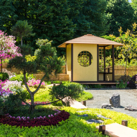 9 japonských rastlín vhodných do zenovej záhrady