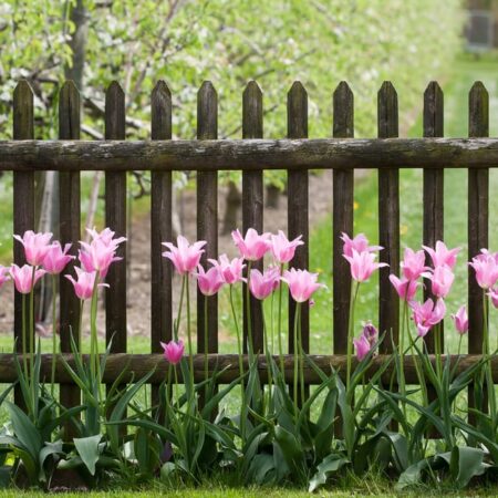 Na čo treba myslieť pred stavbou plota