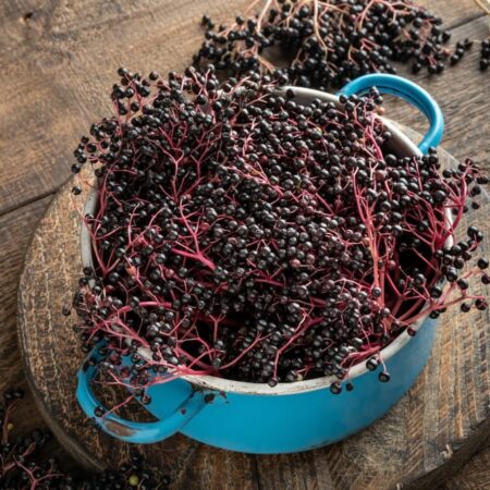 Ako sa robí bazový kompót, máme pre vás recepty